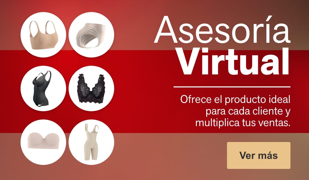 Asesoría virtual